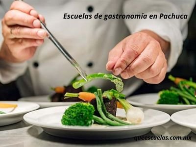 Escuelas de gastronomía en Pachuca